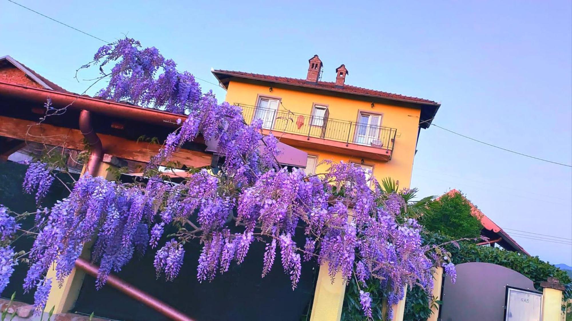 Arquata Scrivia B&B Villa S Anna Hospitality Solutions المظهر الخارجي الصورة